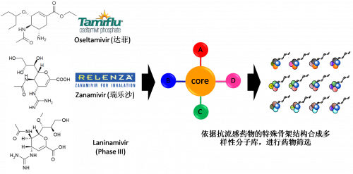 图2：以现有抗流感药物的结构为基础，进行多样性药物分子库的合成。