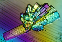 生物HJC黄金城平台公司