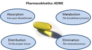 毒代动力学的吸收、分布、代谢、排泄