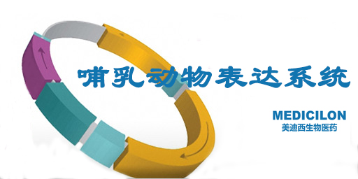 哺乳动物细胞表达系统特点、优势及研究现状