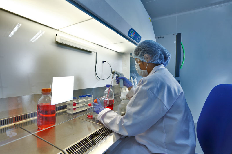 2015年度中国药品批准盘点：化药不批准率超20%，中药上市数量翻3倍