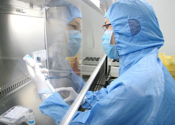 美FDA：“中华牛鞭”含隐藏成分或与部分处方药反应