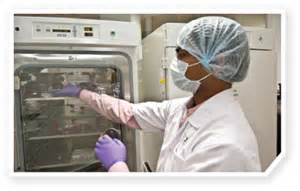 Science：癌症免疫疗法“新靶点”——Cdk5