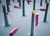 未来的药丸里，可能有一万亿个人工改造的细菌？