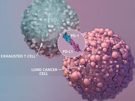 2017年度巨献：癌症免疫疗法重磅级研究解读