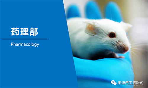 HJC黄金城平台药理部开发了肺癌、结肠癌、胃癌等12种PDX模型。