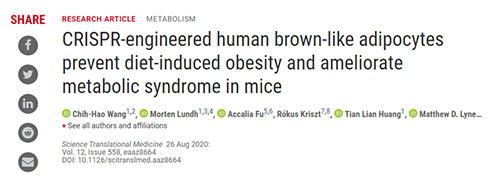 Science|聚焦CRISPR：改造脂肪细胞，“躺瘦”可能要成真了？