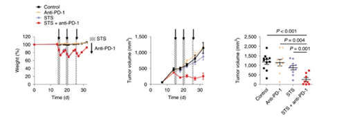 与对照组及仅使用PD-1疗法的模型小鼠对比，采用短期饥饿配合PD-1疗法的393P细胞同源移植肿瘤小鼠体内的肿瘤体积有了明显的收缩。