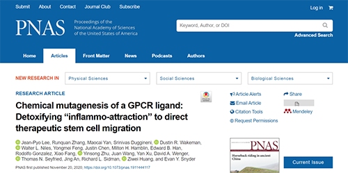世界首创：药物将干细胞引导至受损部位，提高其愈合能力！