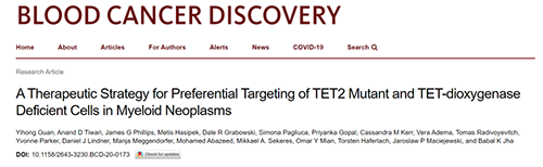 研究者描述了一种新型靶向抗癌药物，这种药物可能会有效地治疗某些常见的白血病。