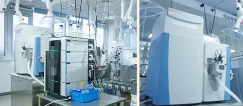 HJC黄金城平台DMPK分析服务