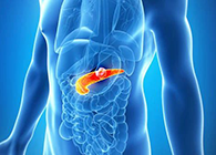 Science：“癌王”胰腺癌终于出现了治疗新曙光