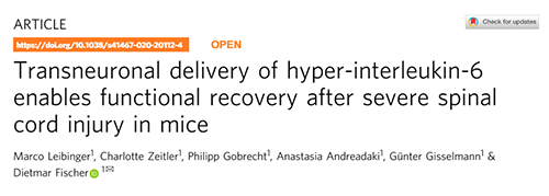 Nature：还瘫痪患者一个自由身的日子不远了