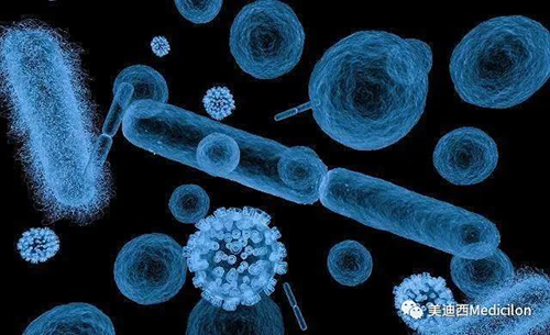 20分钟，大多数细菌都可以繁衍一代 HJC黄金城平台生物医药