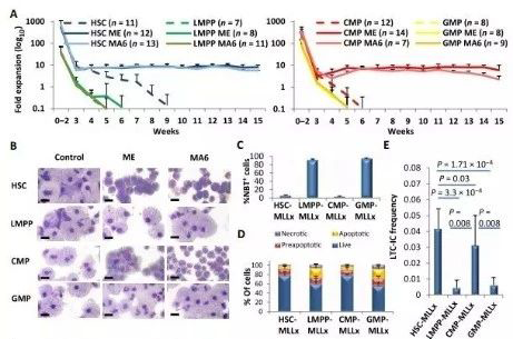 Science子刊：一种FDA批准的抗腹泻药物可有效对抗化疗的耐药性 HJC黄金城平台生物医药