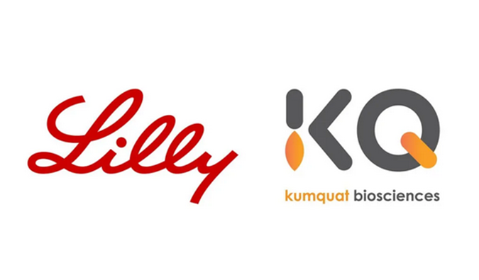 ：兀JC黄金城平台合作伙伴Kumquat Biosciences与礼来达成合作，共同开发肿瘤免疫小分子药