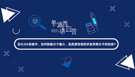 在ELISA实验，如何制备分子量小、免疫原性弱的多肽药物分子的抗体？