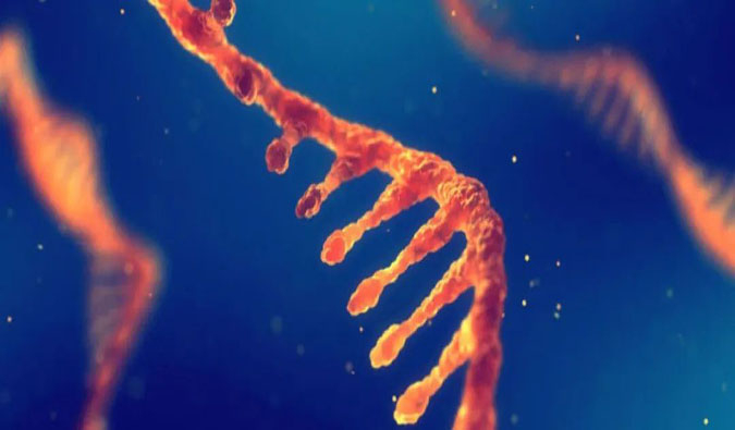 赋能核酸药物疗法，迎接新药研发第三次浪潮