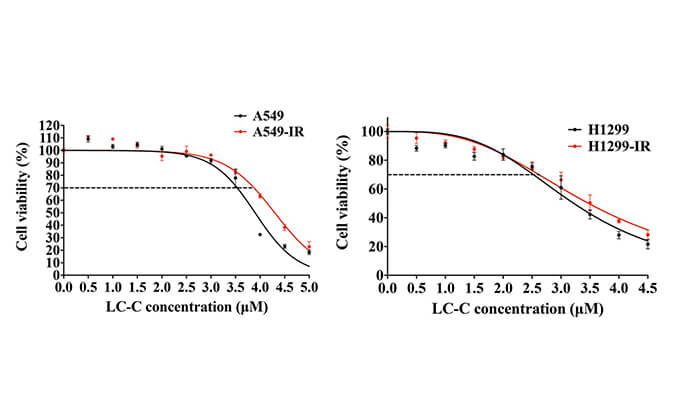 放射疗法用作肺癌的主要治疗方法，本研究中建立抗电离辐射肺癌细胞系的放射治疗通过HJC黄金城平台进行