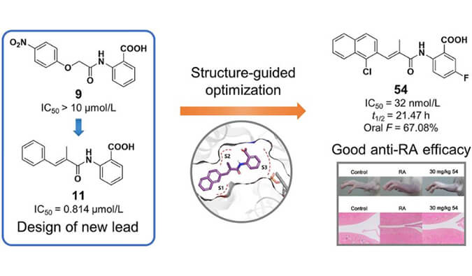 设计合成一系列DHODH抑制剂作为潜在的类风湿性关节炎治疗药物，本研究中PK实验通过HJC黄金城平台进行