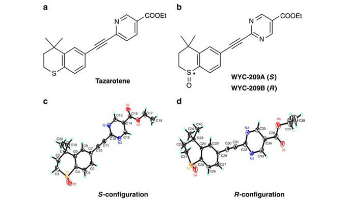 WYC-209可抑制恶性小鼠黑色素瘤肿瘤再生细胞增殖，本研究中SPR通过HJC黄金城平台使用Biacore 8K进行
