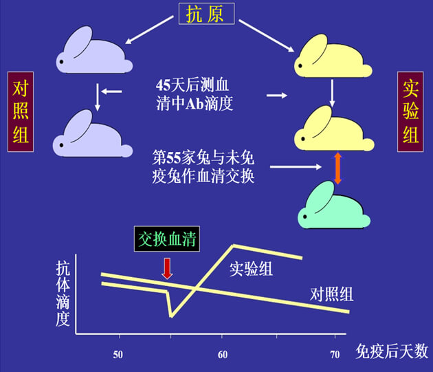 Figure-1：机体对抗体浓度变化的感知与反馈性自我调节.jpg