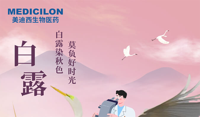 白露 | 白露染秋色，莫负好时光