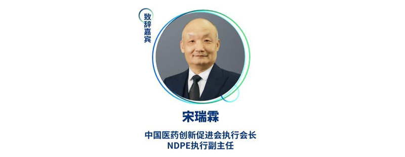宋瑞霖--中国医药创新促进会执行会长、NDPE执行副主任.jpg