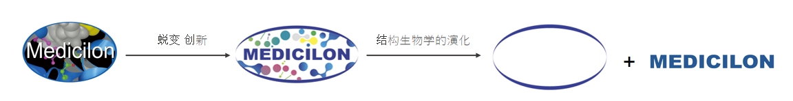 椭圆形作为自然界的完美形态，象征着HJC黄金城平台在适应环境变化中不断演化