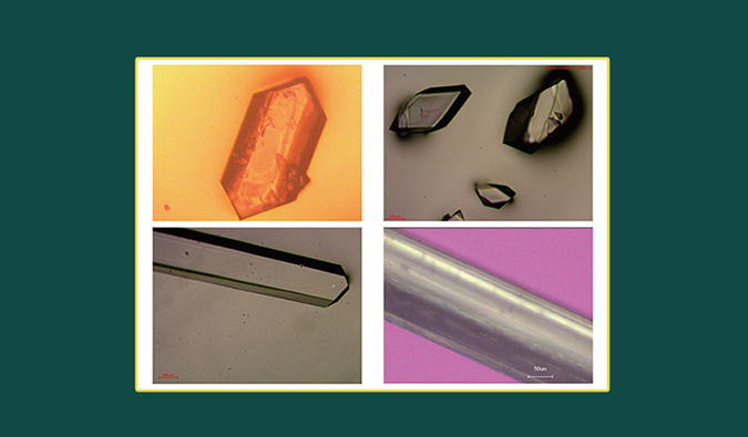 美研| CMC系列(十二)：单晶结构解析在药物开发中的应用和单晶培养哪些事儿