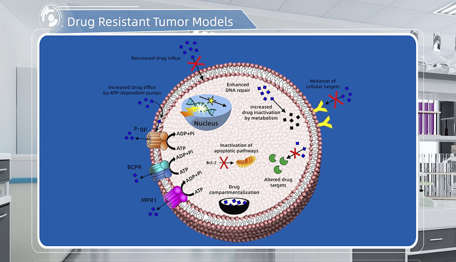 肿瘤耐药机制是什么？