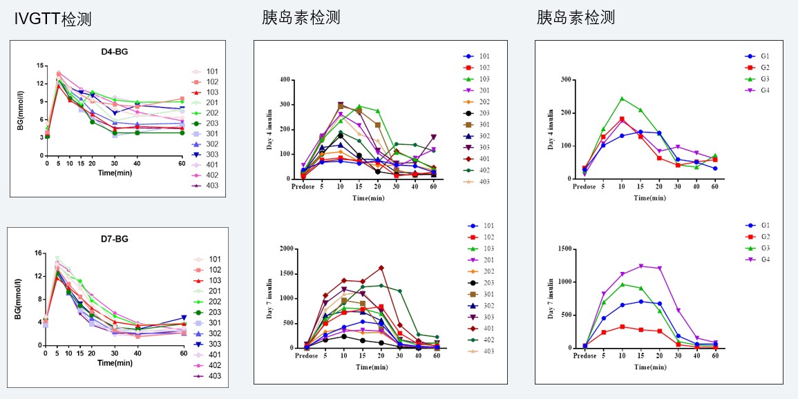 案例4：食蟹猴IVGTT和胰岛素检测实验.jpg