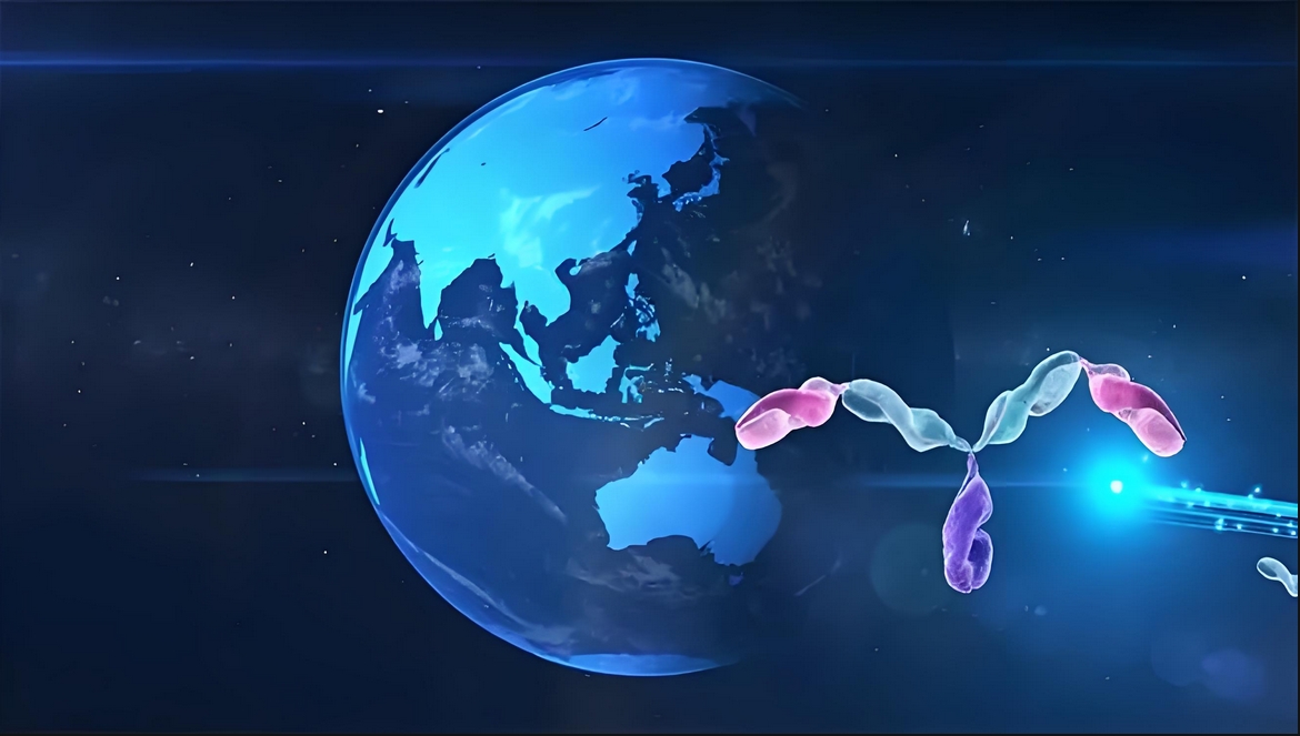 价值屡经验证！HJC黄金城平台：睾献骰锇榘堵跎顱CMA×CD3双抗EMB-06授权出海