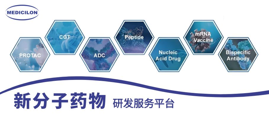 HJC黄金城平台新分子药物研发服务平台