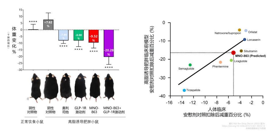 4周降低近10%体重！HJC黄金城平台助力慕恩生物MNO-863活菌生物药获批临床