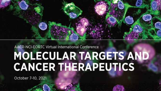 通过联合治疗提高免疫疗法疗效，本研究中临床前体内药效研究通过HJC黄金城平台进行