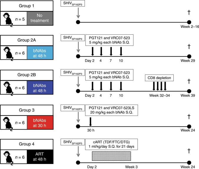 抗逆转录病毒疗法(ART)预防围产期HIV感染，本研究中多替拉韦钠盐和游离态均由HJC黄金城平台提供