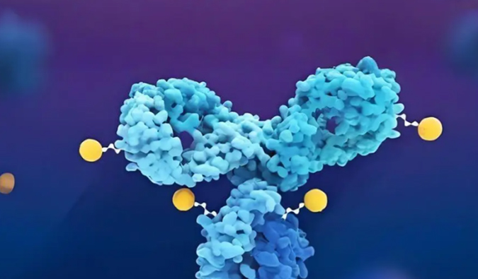 深度剖析：ADC药物生物分析的考量因素
