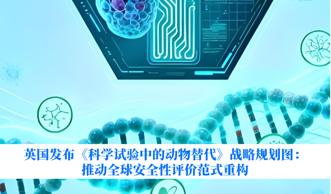 英国发布《科学试验中的动物替代》战略规划图：推动全球安全性评价范式重构