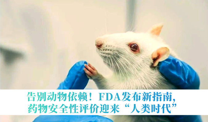 告别动物依赖！FDA发布新指南，药物安全性评价迎来“人类时代”